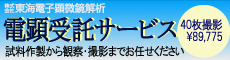 電顕受託サービス